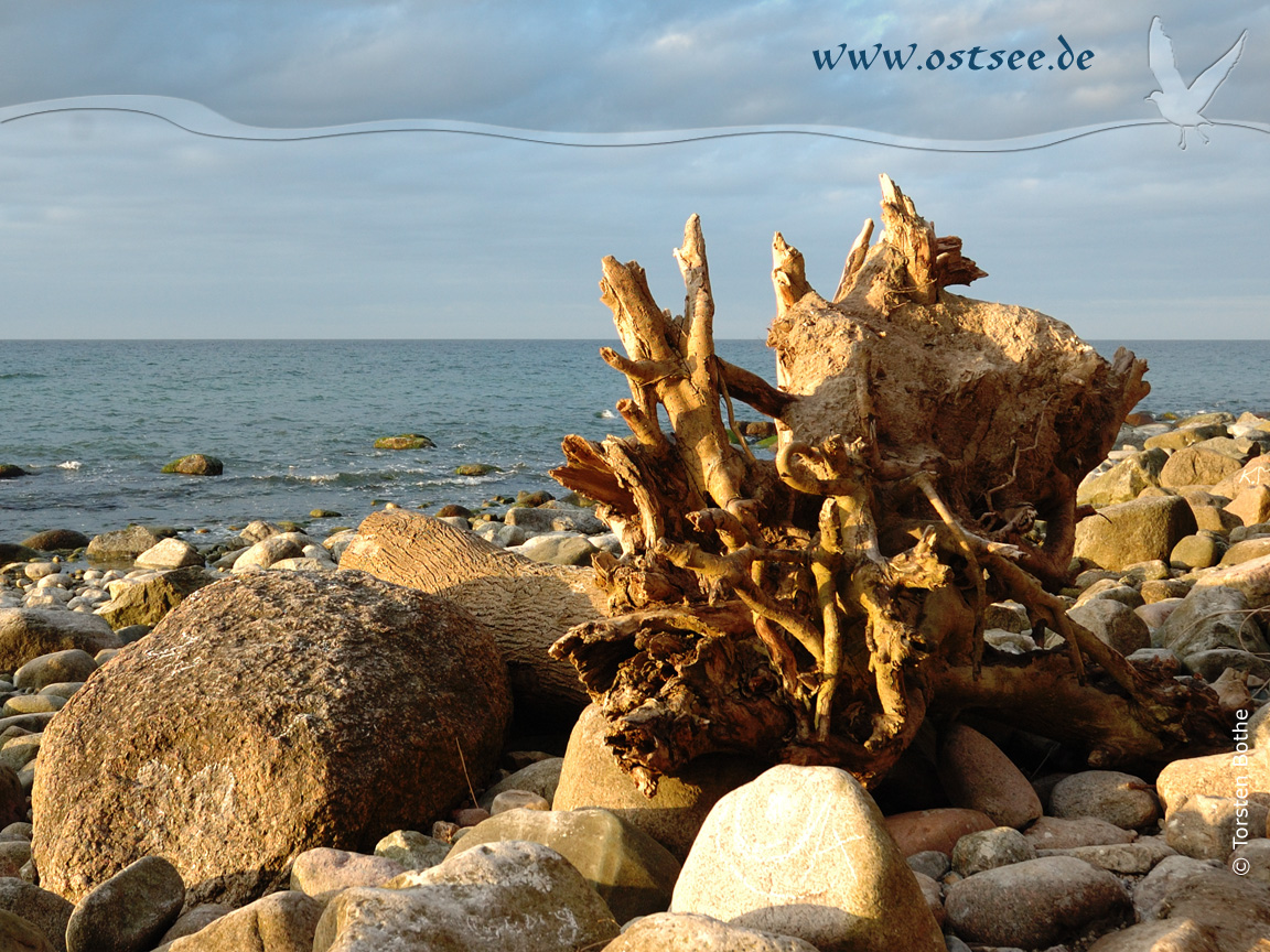 Hintergrundbild: Naturstrand an der Ostsee