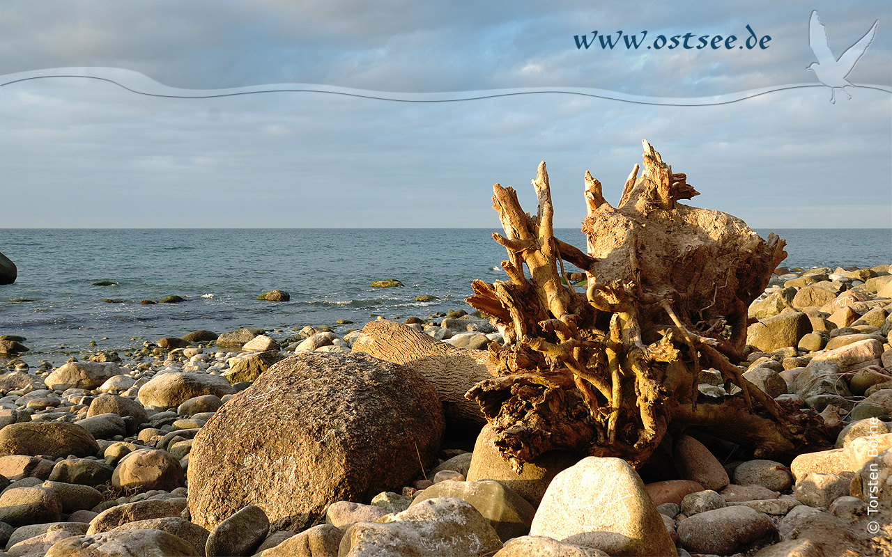 Hintergrundbild: Naturstrand an der Ostsee