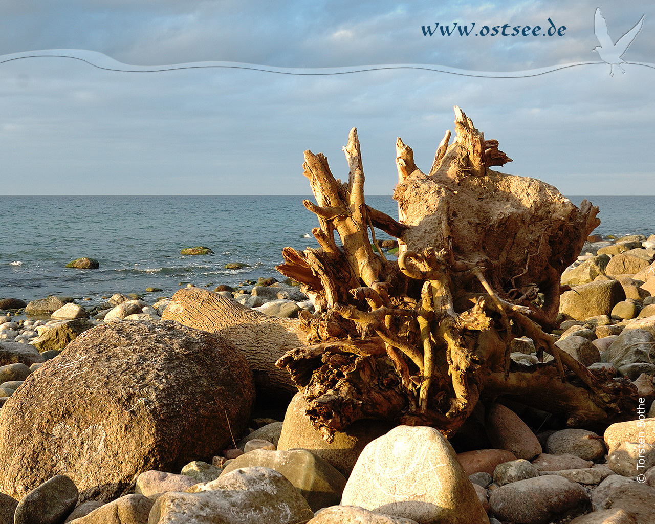 Hintergrundbild: Naturstrand an der Ostsee