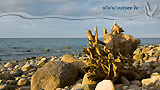 Naturstrand an der Ostsee