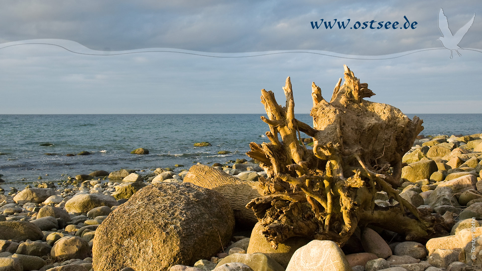 Hintergrundbild: Naturstrand an der Ostsee