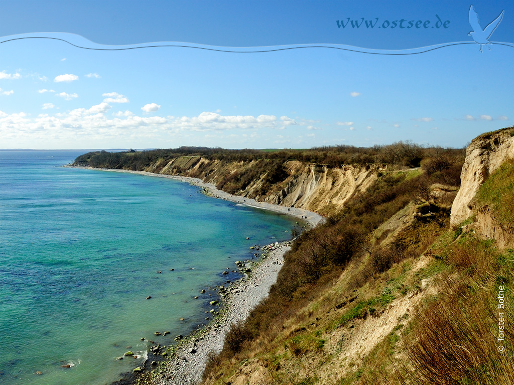 Hintergrundbild: Steilküste an der Ostsee