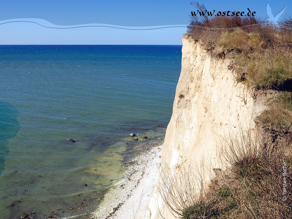 Hintergrundbild: Steilküste an der Ostsee