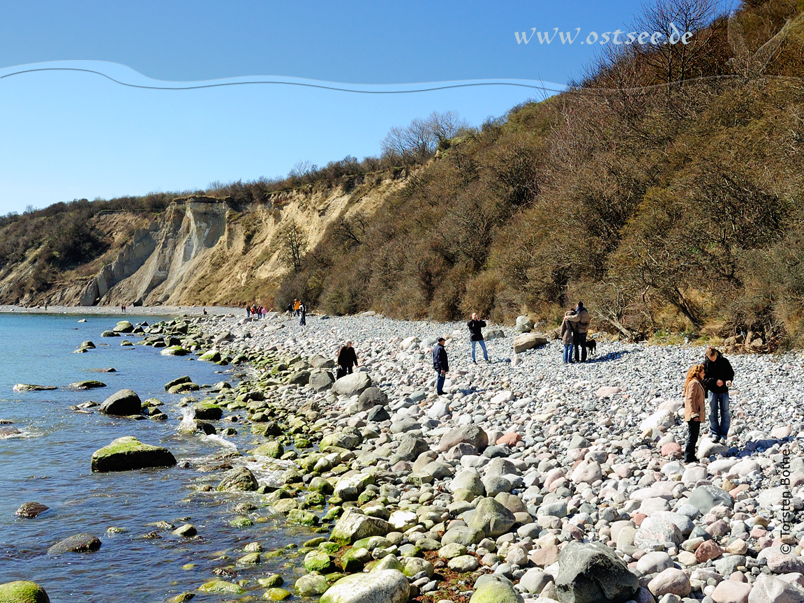 Hintergrundbild: Steilküste an der Ostsee