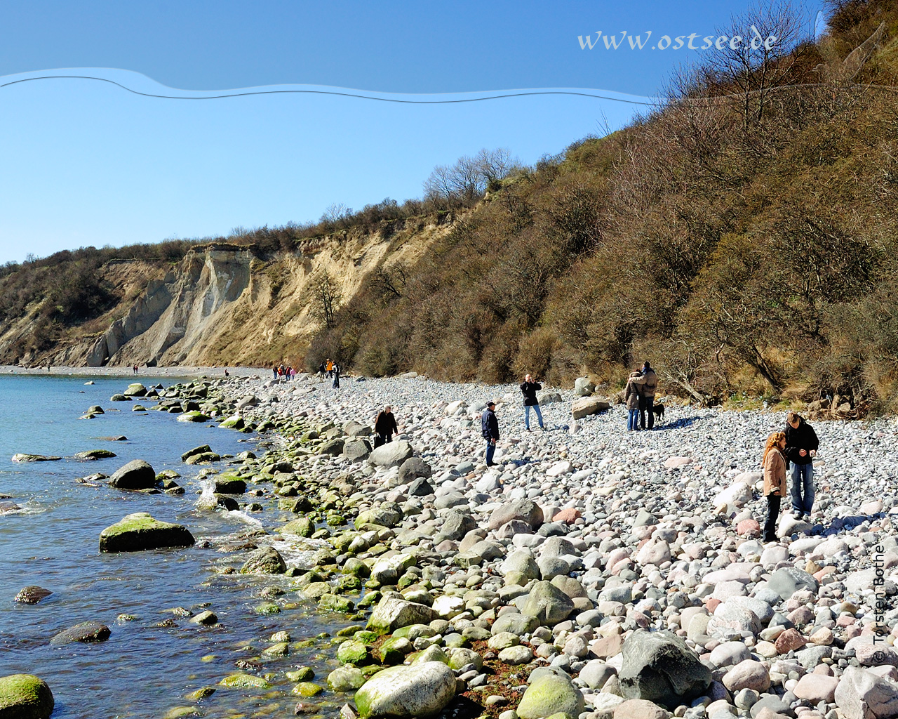 Hintergrundbild: Steilküste an der Ostsee