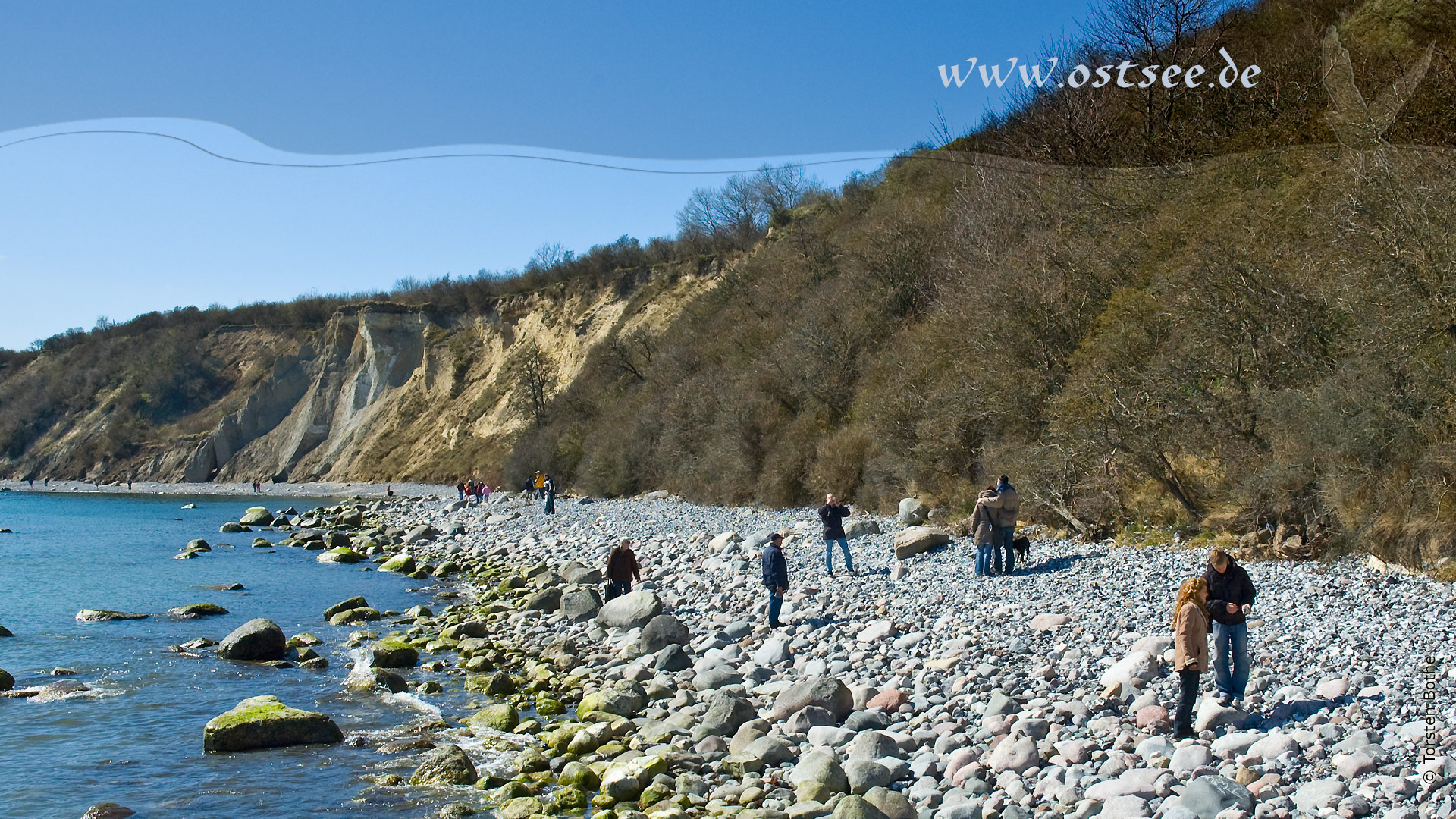 Hintergrundbild: Steilküste an der Ostsee