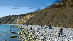 Steilküste an der Ostsee