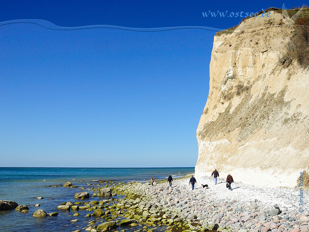 Hintergrundbild: Steilküste an der Ostsee