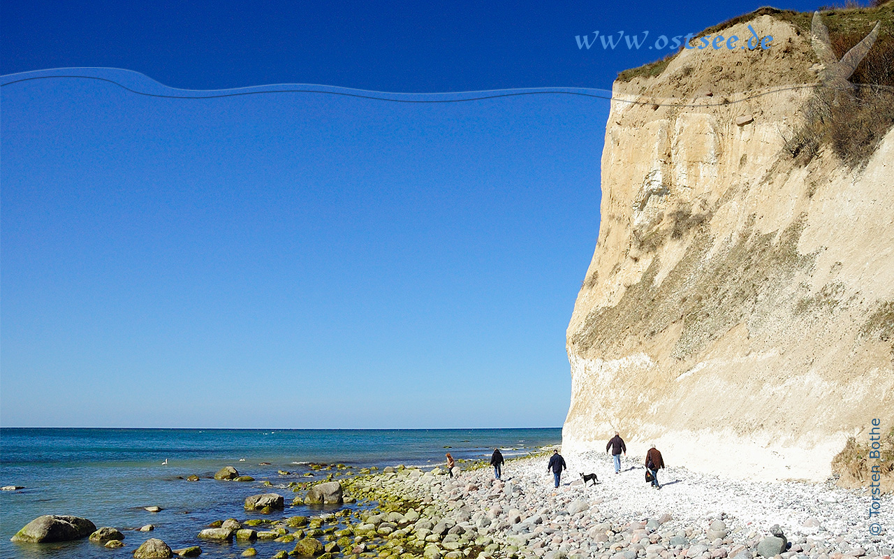 Hintergrundbild: Steilküste an der Ostsee