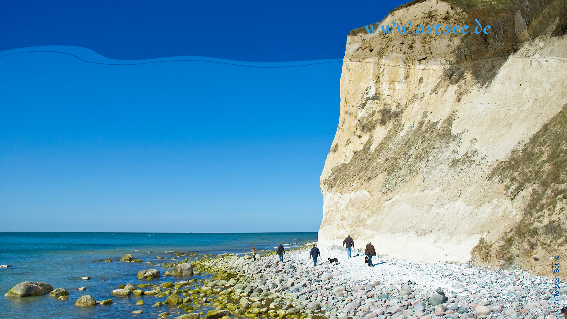 Hintergrundbild: Steilküste an der Ostsee