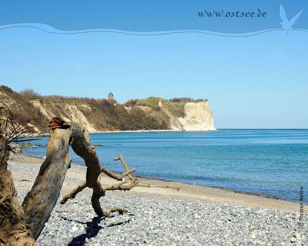 Hintergrundbild: Steilküste an der Ostsee