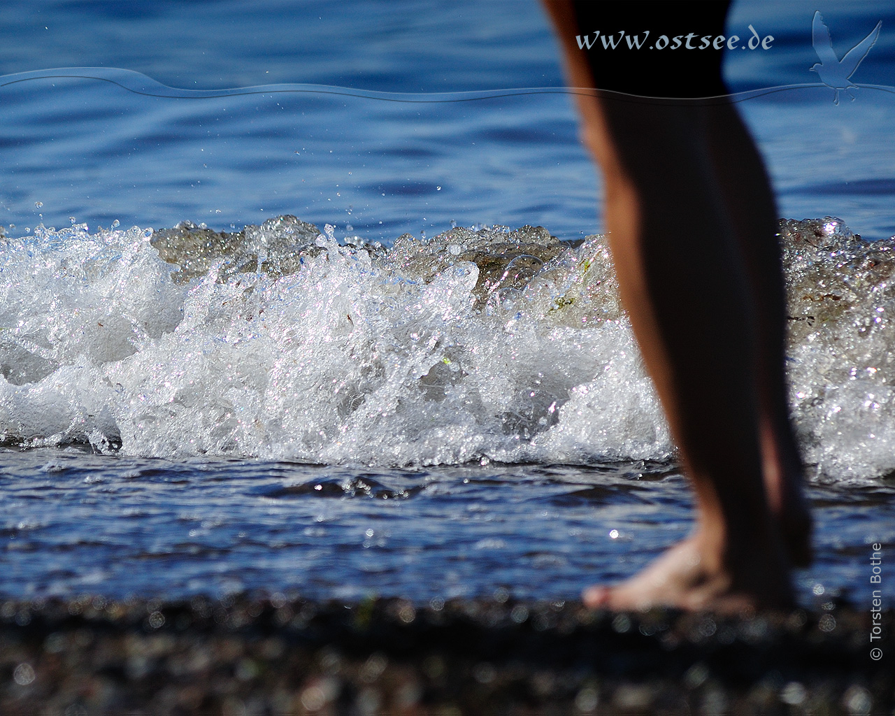 Strandspaziergang an der Ostsee