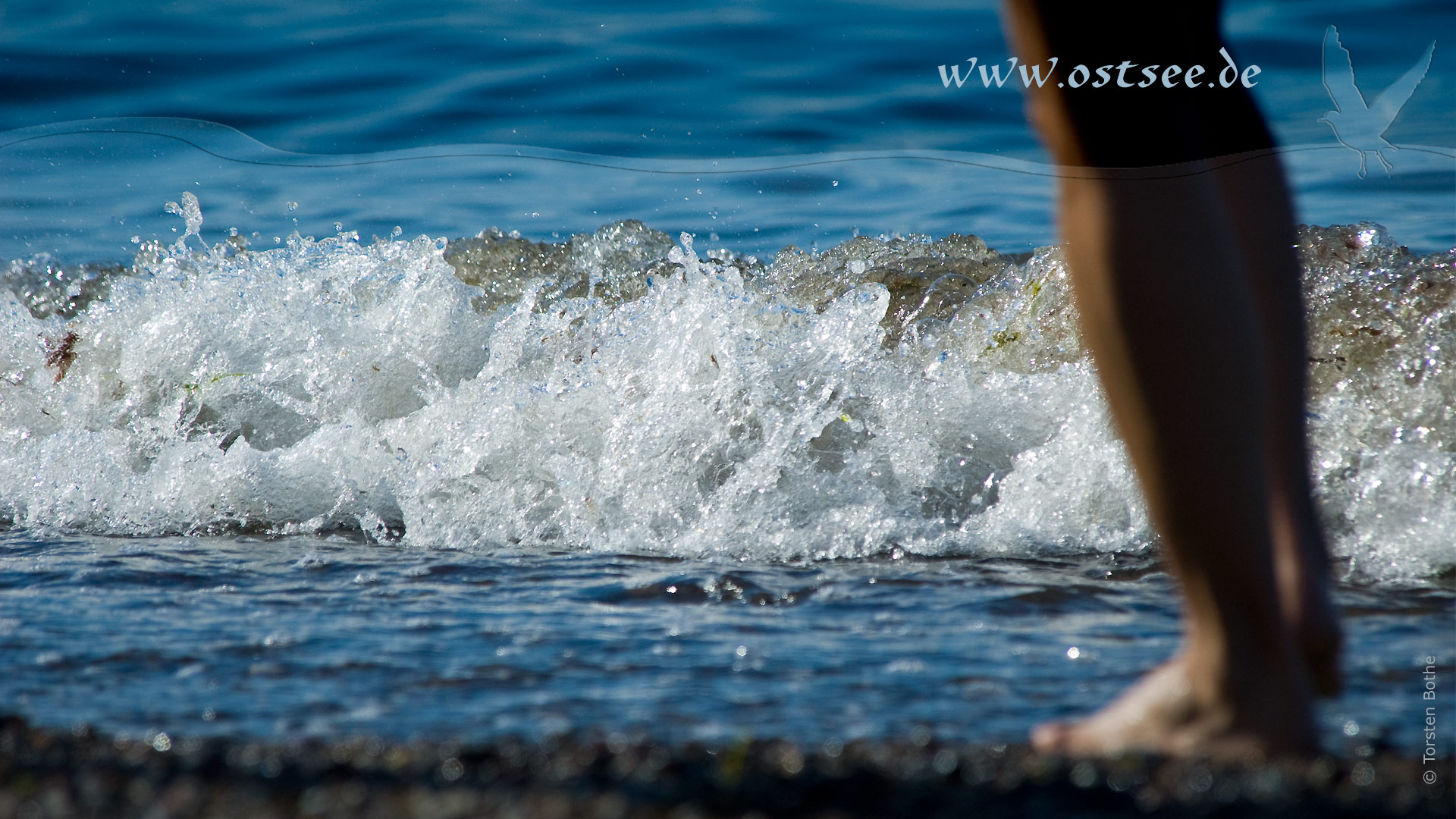 Hintergrundbild: Strandspaziergang an der Ostsee