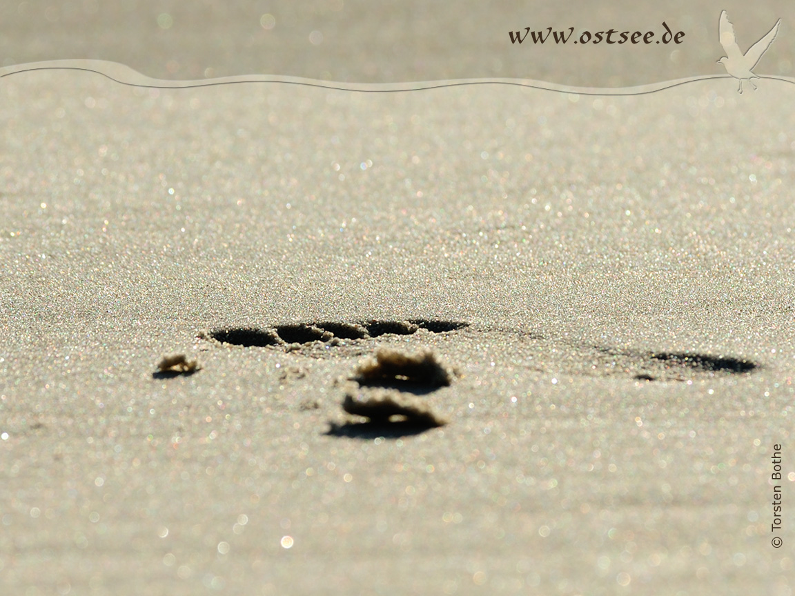 Hintergrundbild: Fußspur im Sand