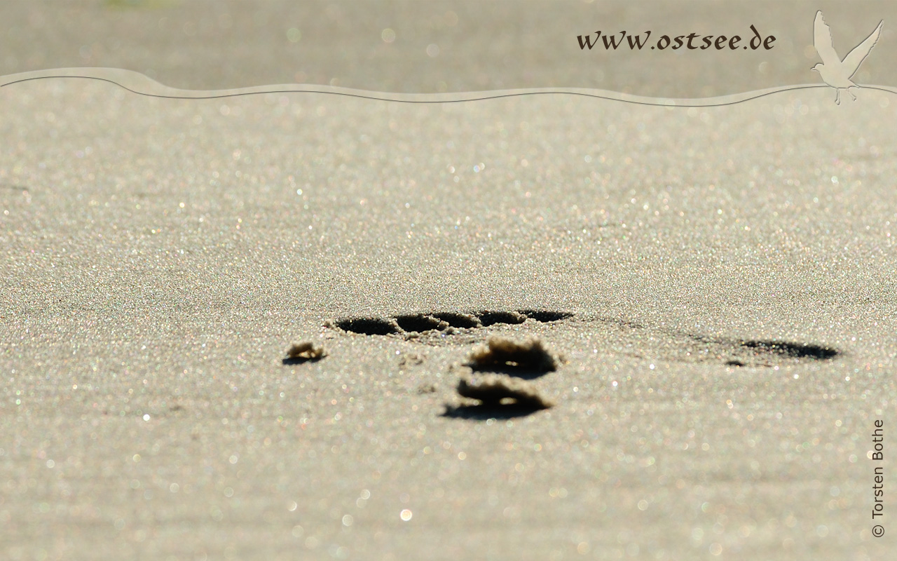 Hintergrundbild: Fußspur im Sand