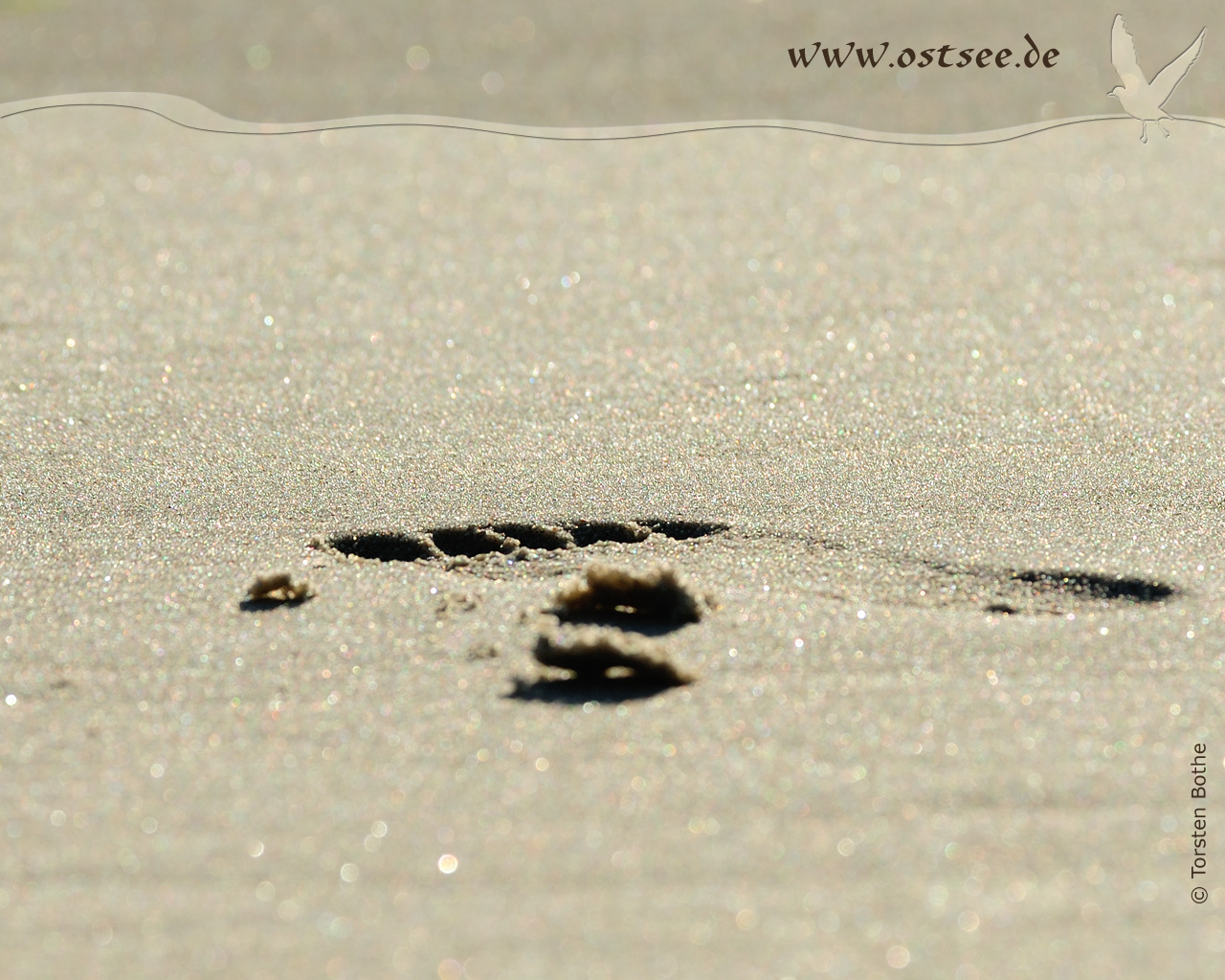 Hintergrundbild: Fußspur im Sand
