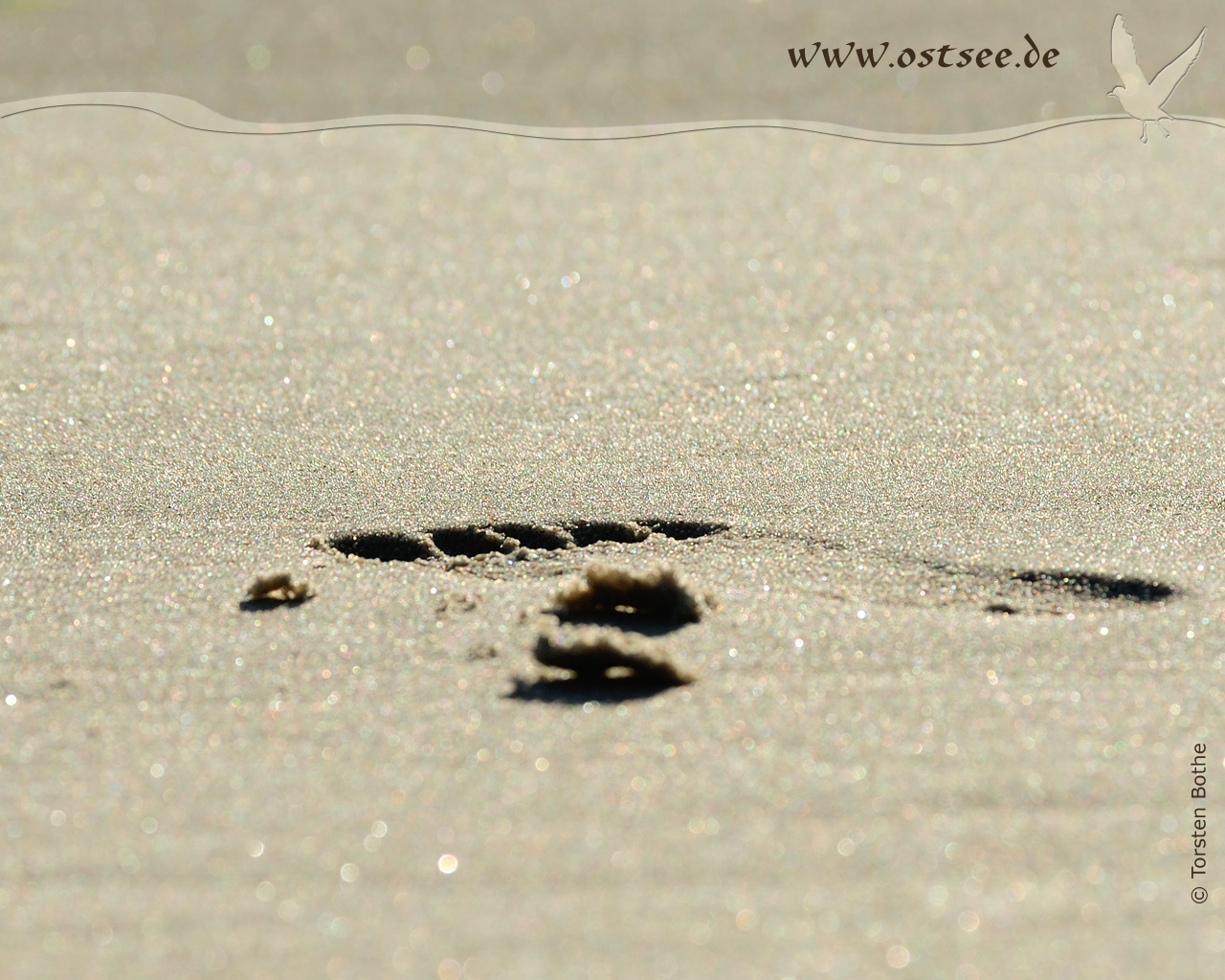 Fußspur im Sand