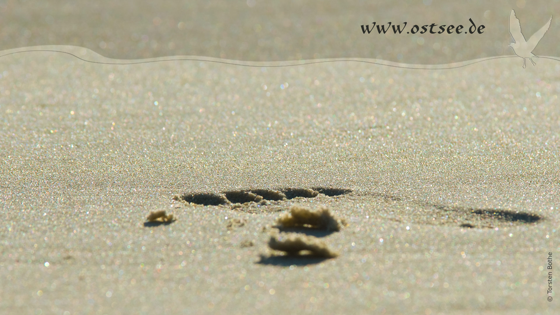 Hintergrundbild: Fußspur im Sand