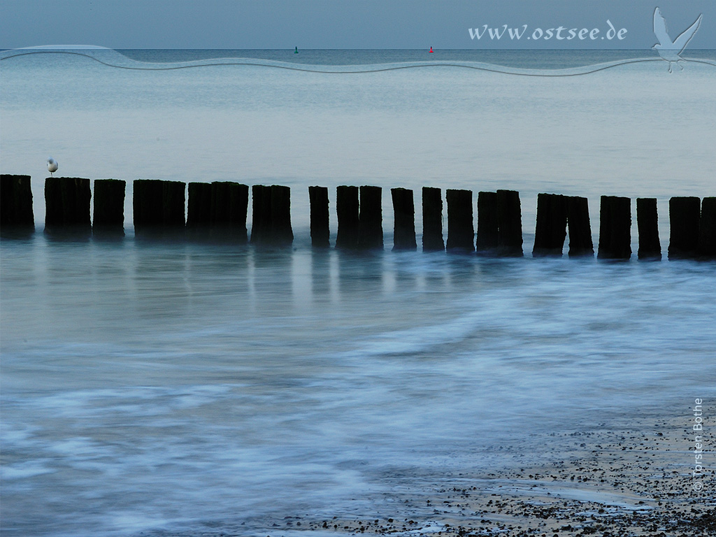 Hintergrundbild: Buhnen am Ostseestrand