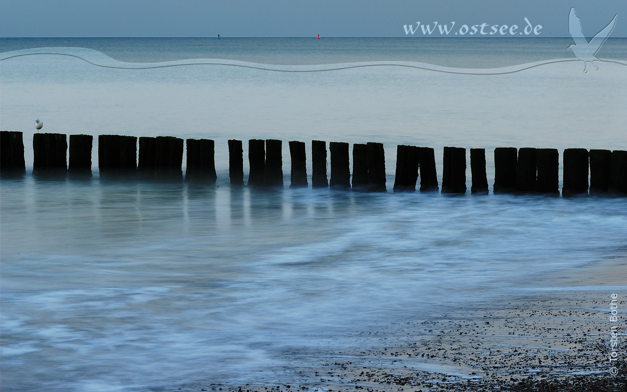 Buhnen am Ostseestrand