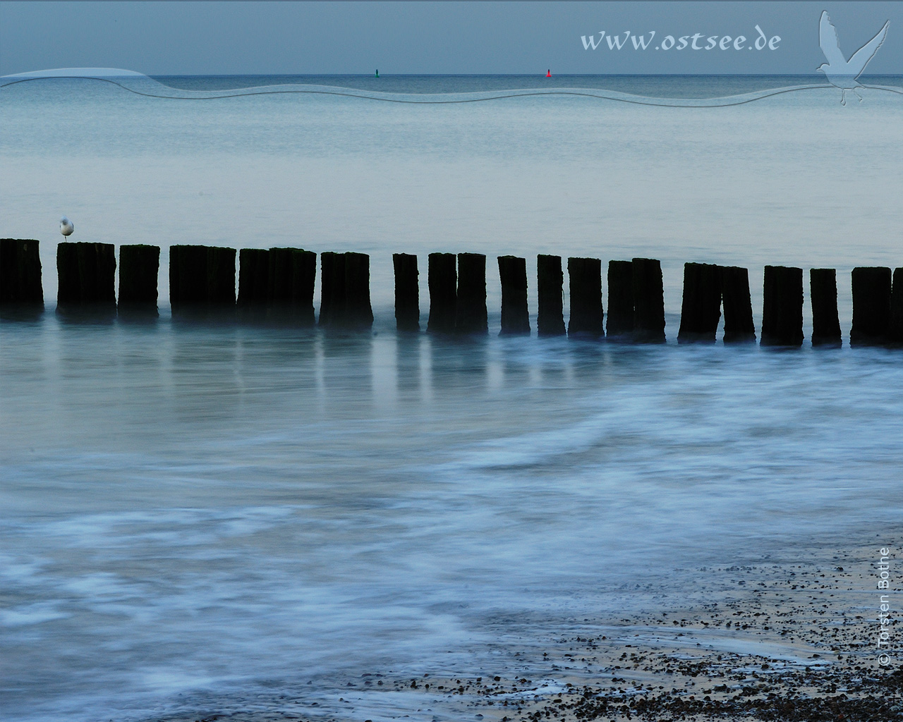 Buhnen am Ostseestrand