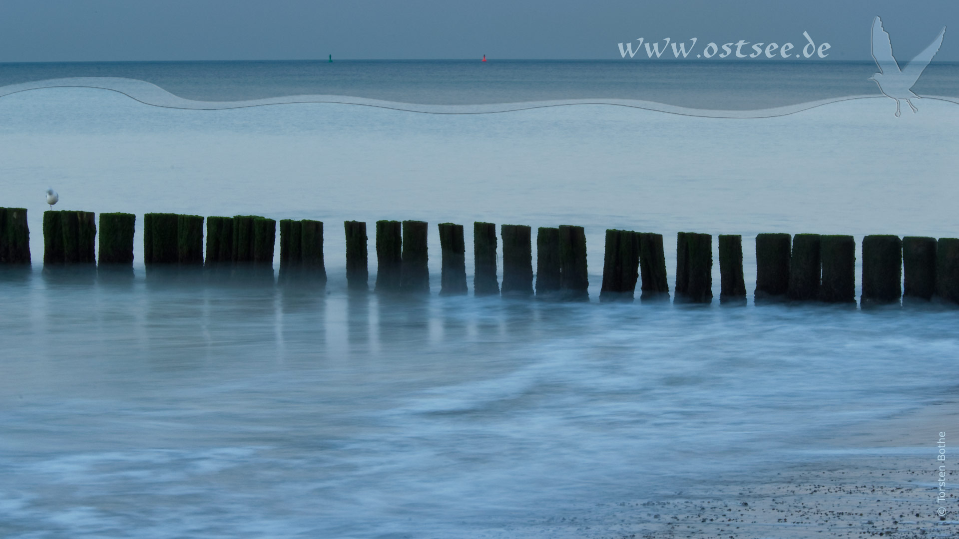 Buhnen am Ostseestrand