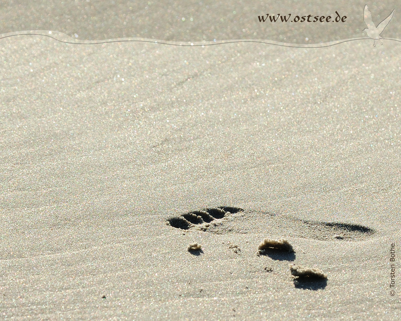 Hintergrundbild: Fußspur im Sand