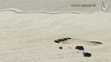 Fußspur im Sand
