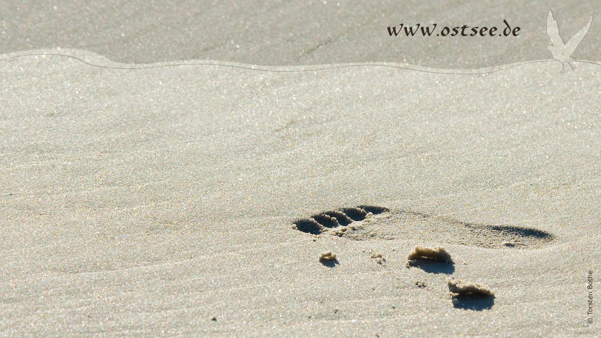 Fußspur im Sand