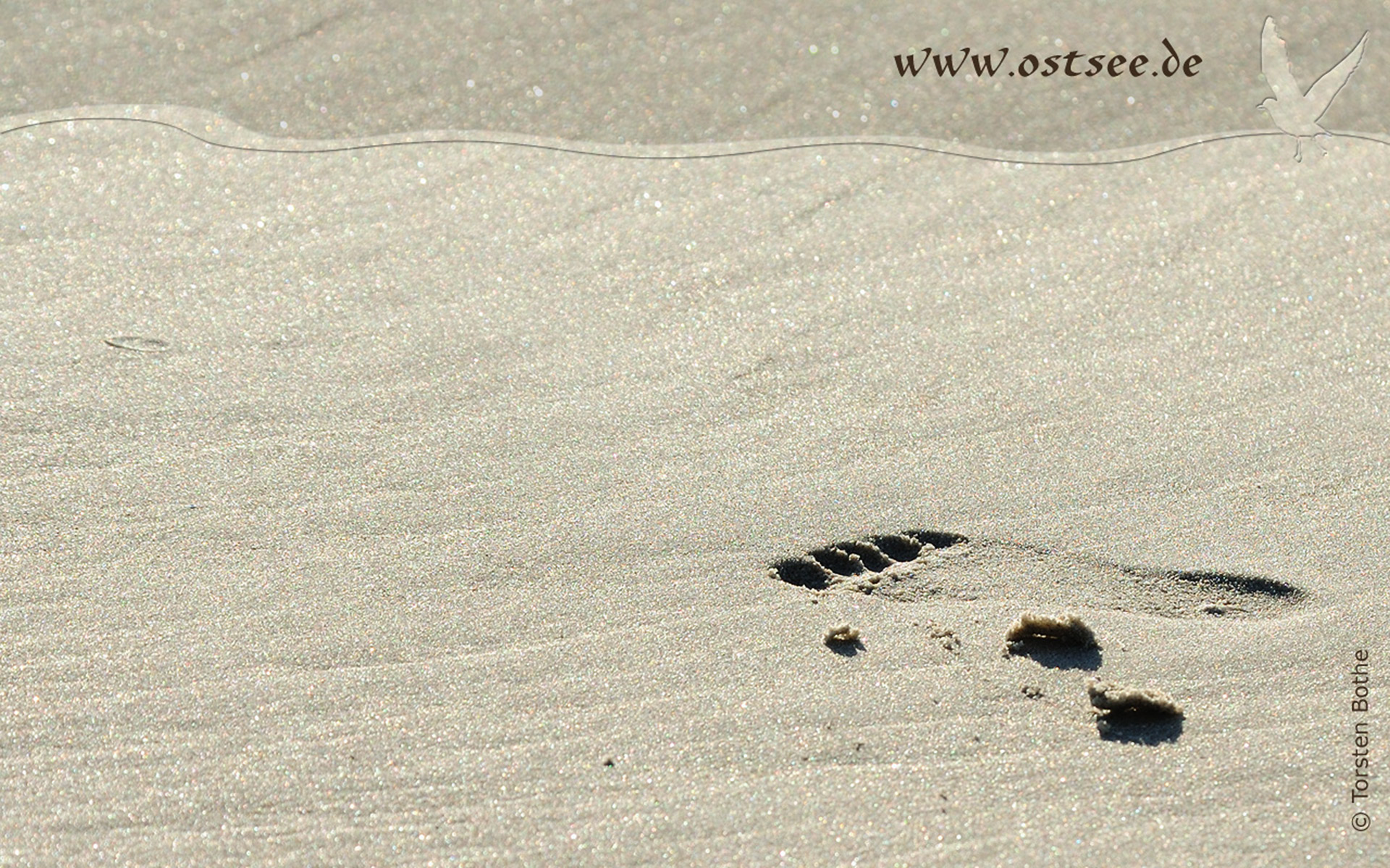 Hintergrundbild: Fußspur im Sand