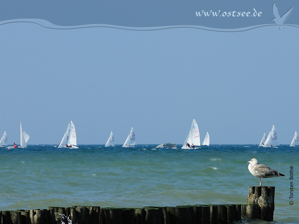 Regatta auf der Ostsee