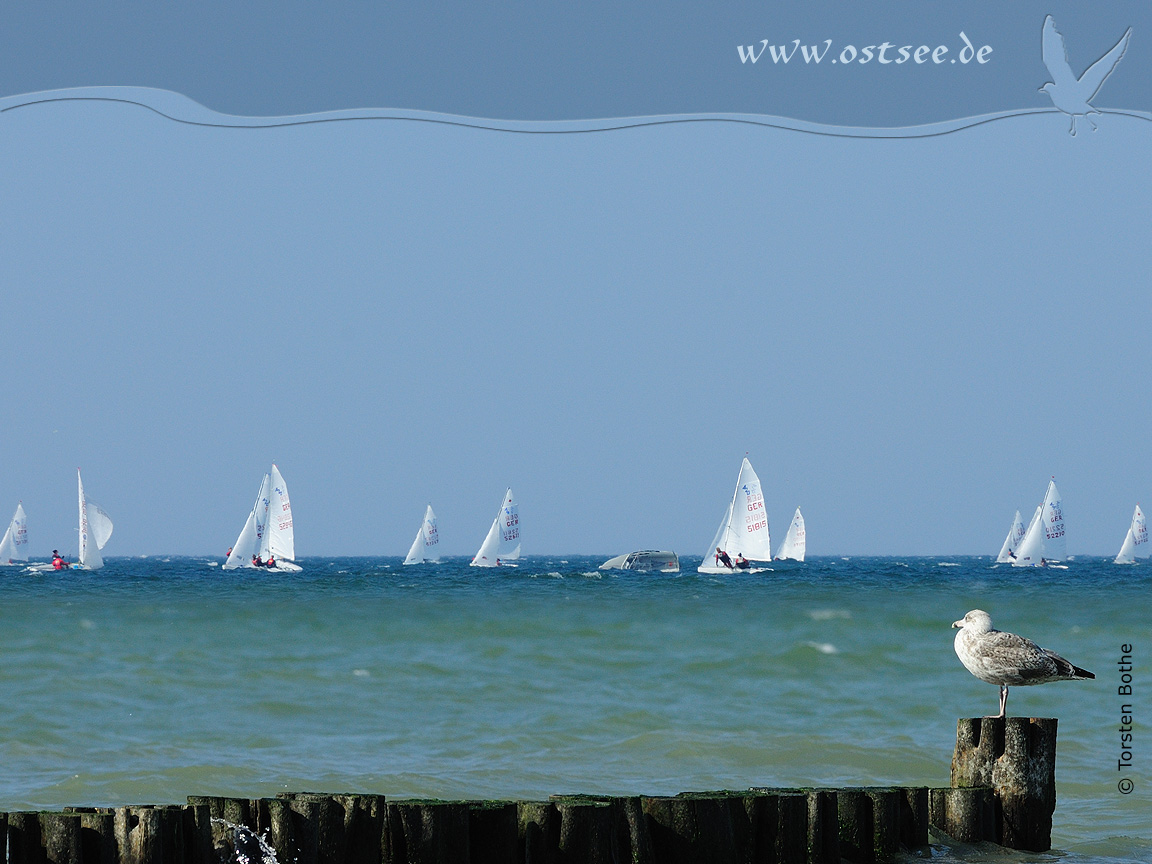 Hintergrundbild: Regatta auf der Ostsee