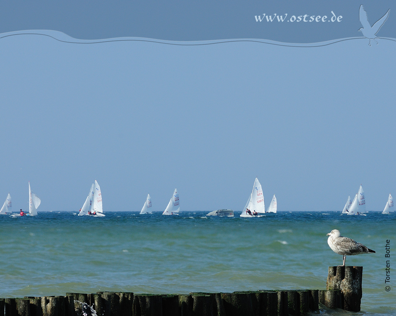 Hintergrundbild: Regatta auf der Ostsee