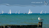 Regatta auf der Ostsee