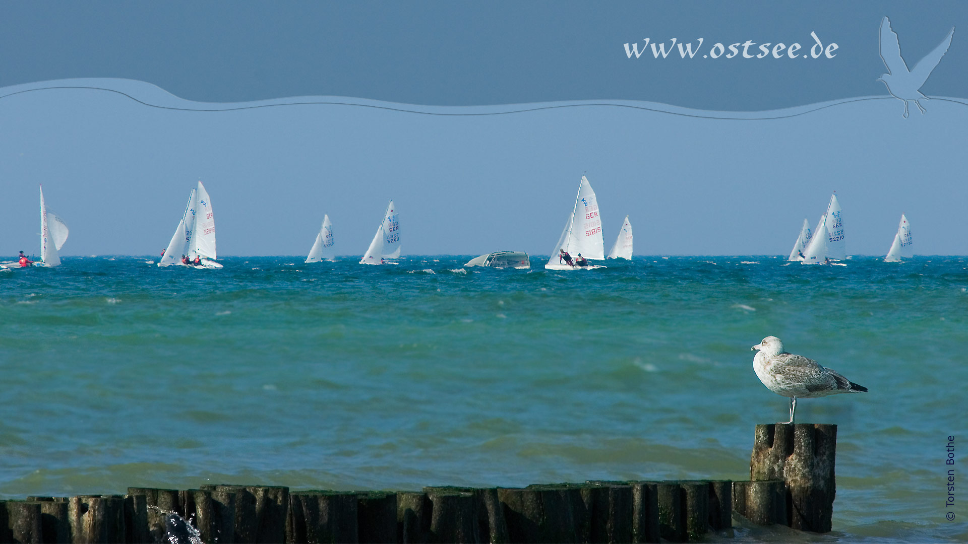 Hintergrundbild: Regatta auf der Ostsee