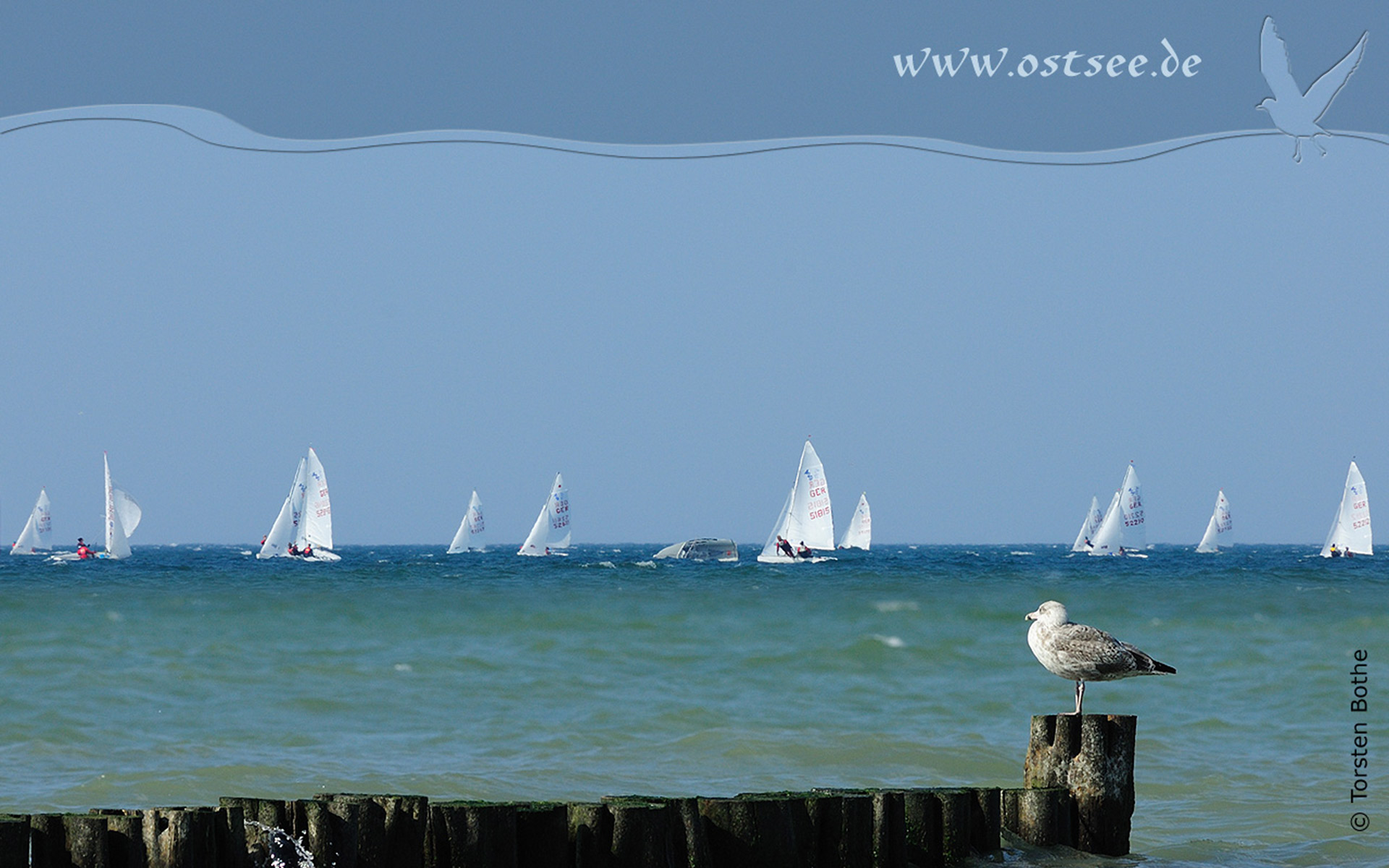 Hintergrundbild: Regatta auf der Ostsee