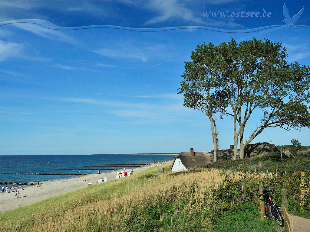 Hintergrundbild: Typisch Ostsee