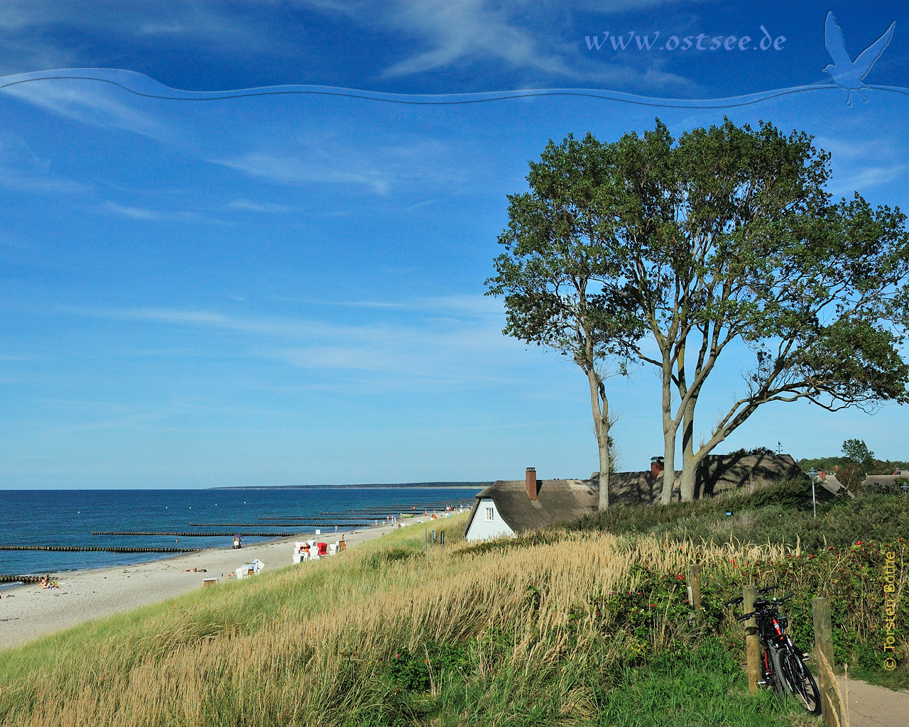 Hintergrundbild: Typisch Ostsee