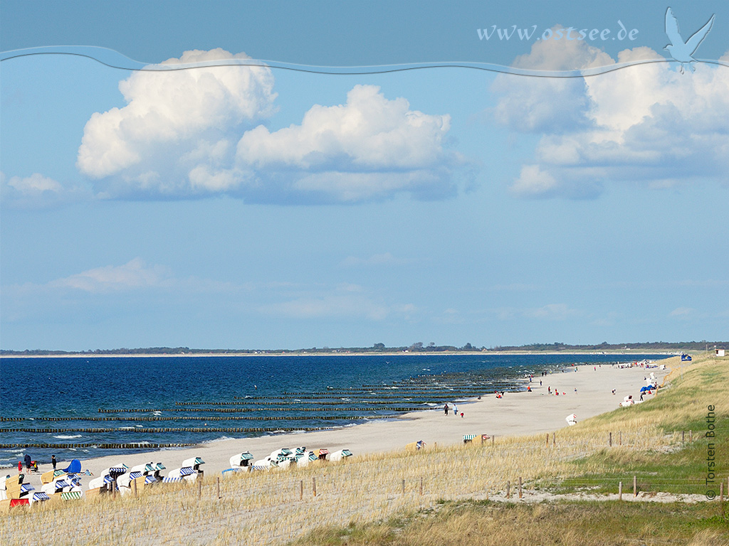 Hintergrundbild: Weiße Strände an der Ostsee