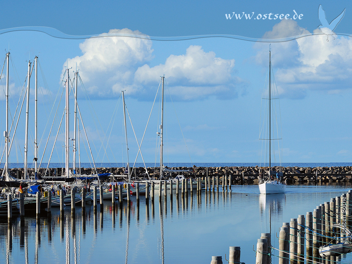 Hintergrundbild: Segelyacht im Hafen