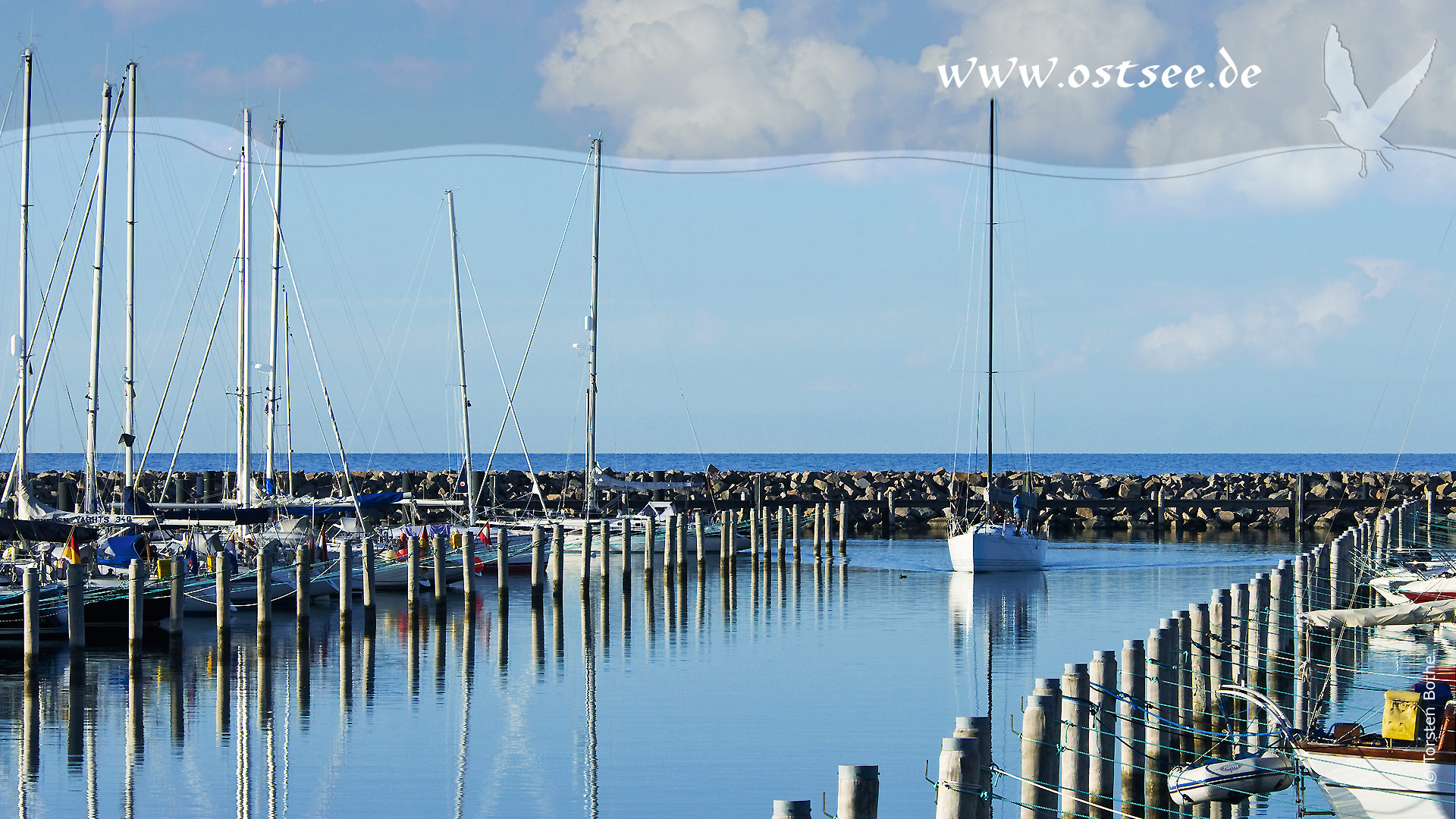 Hintergrundbild: Segelyacht im Hafen