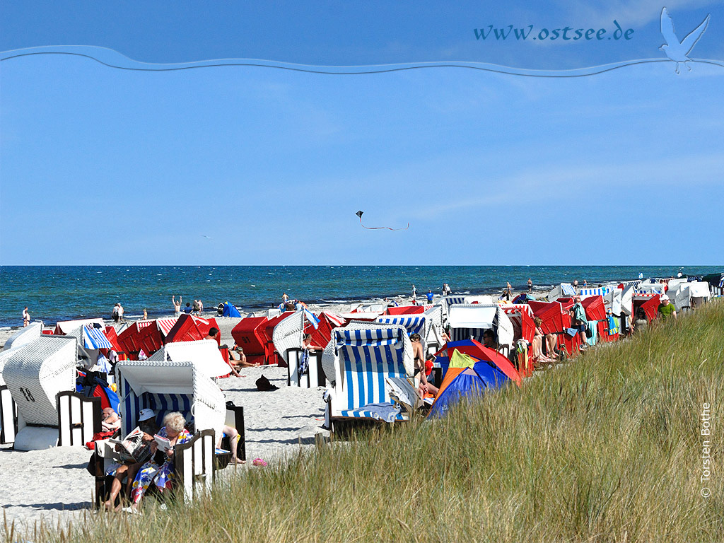 Hintergrundbild: Sommer an der Ostsee