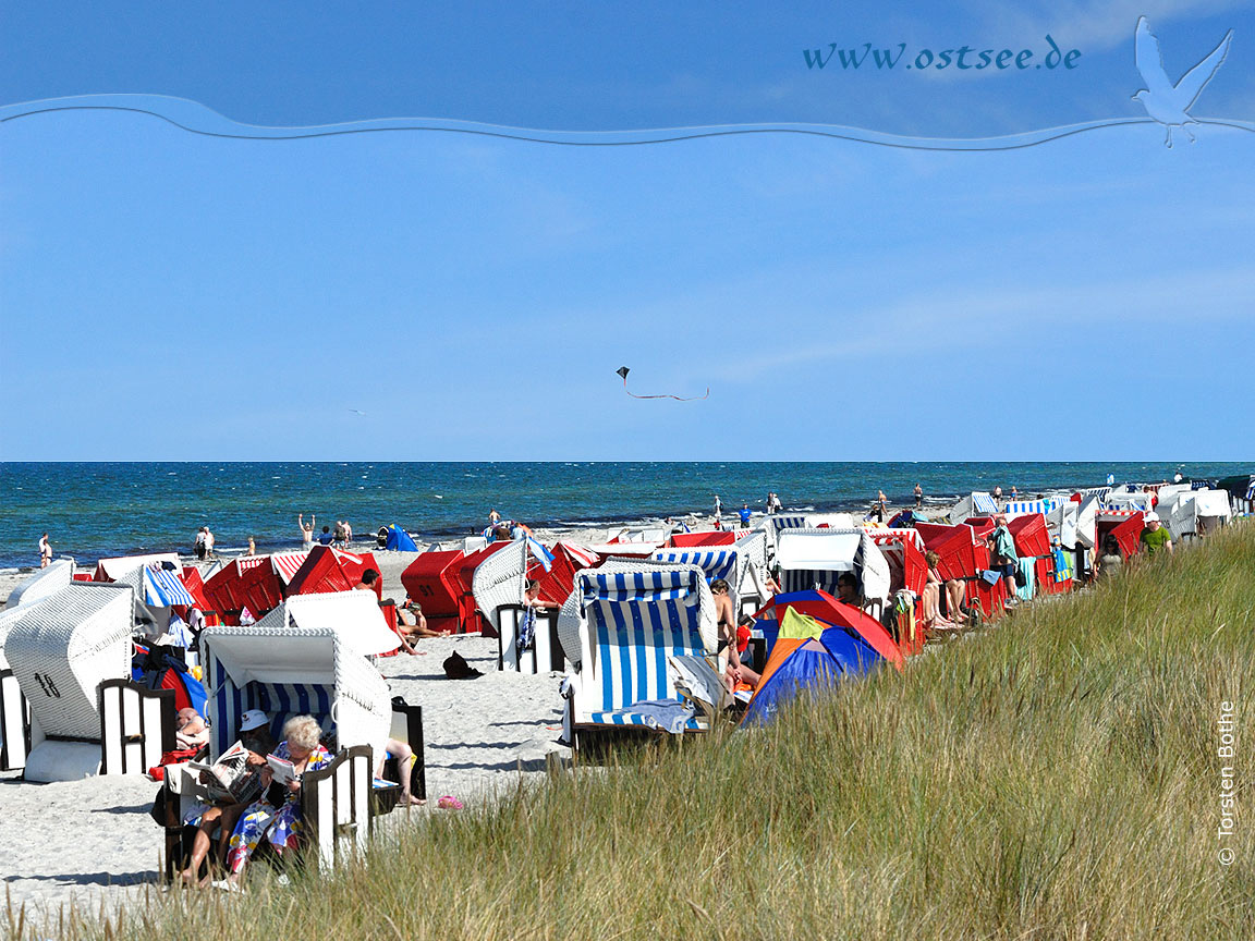 Hintergrundbild: Sommer an der Ostsee