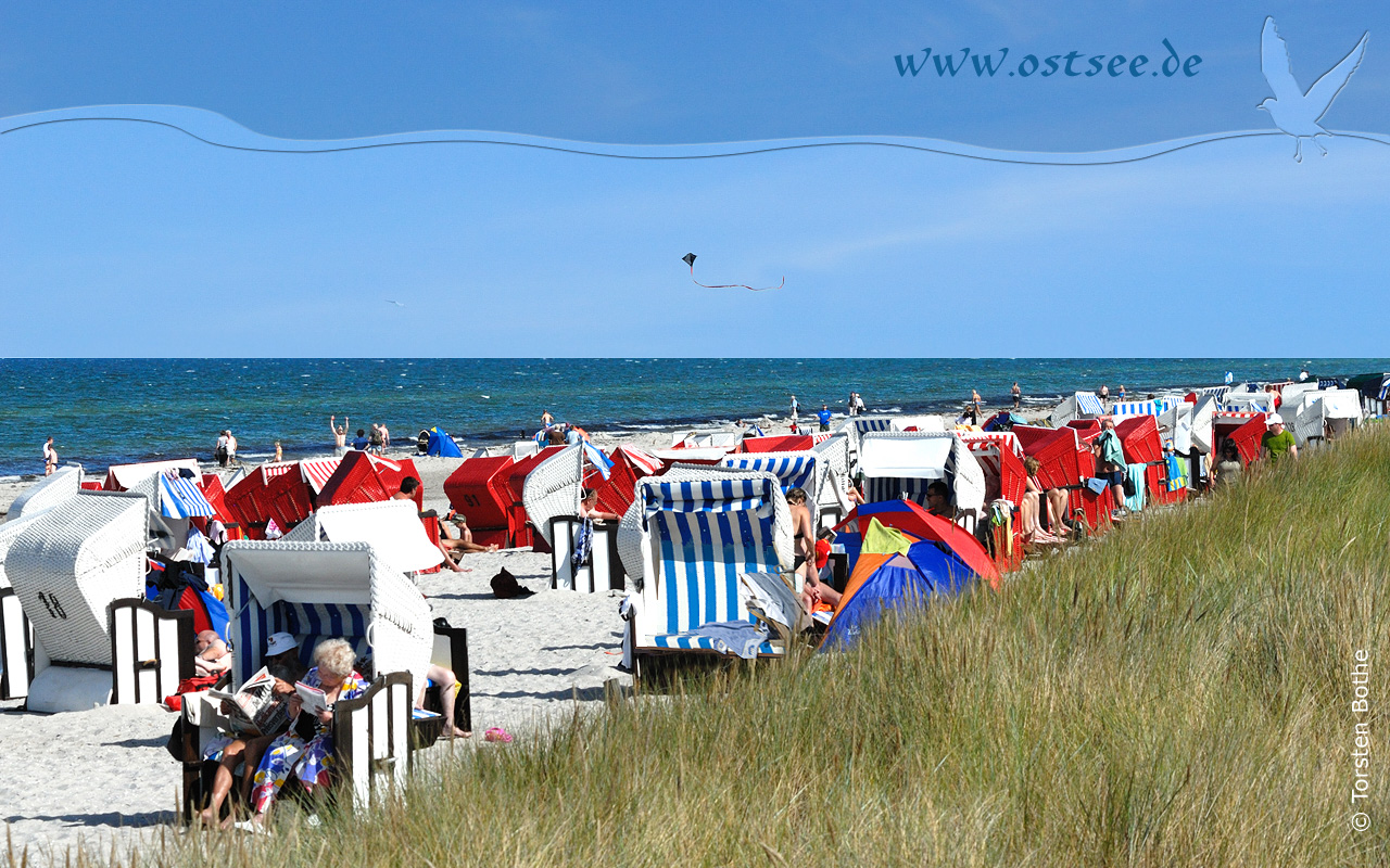 Hintergrundbild: Sommer an der Ostsee