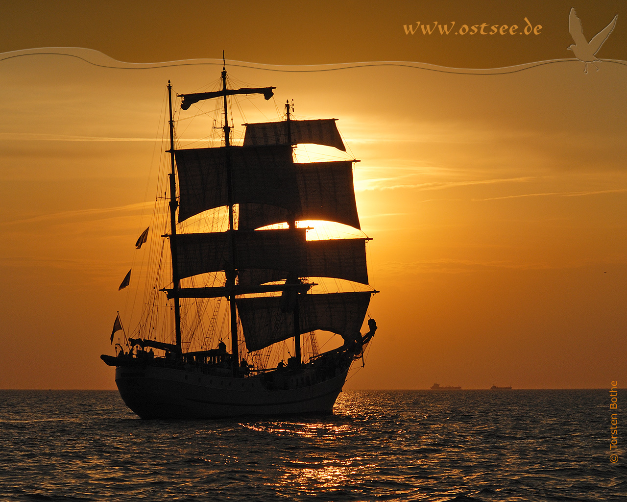 Hintergrundbild: Windjammer im Sonnenuntergang