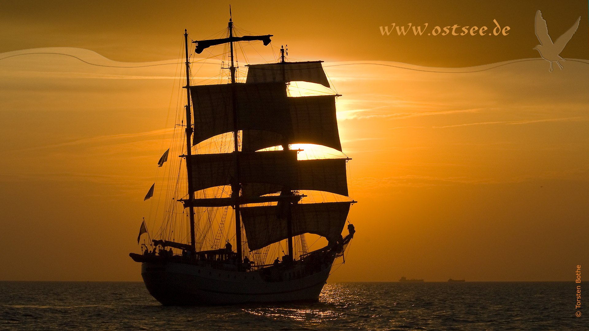 Hintergrundbild: Windjammer im Sonnenuntergang