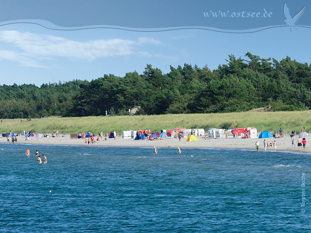 Hintergrundbild: Sommer an der Ostsee