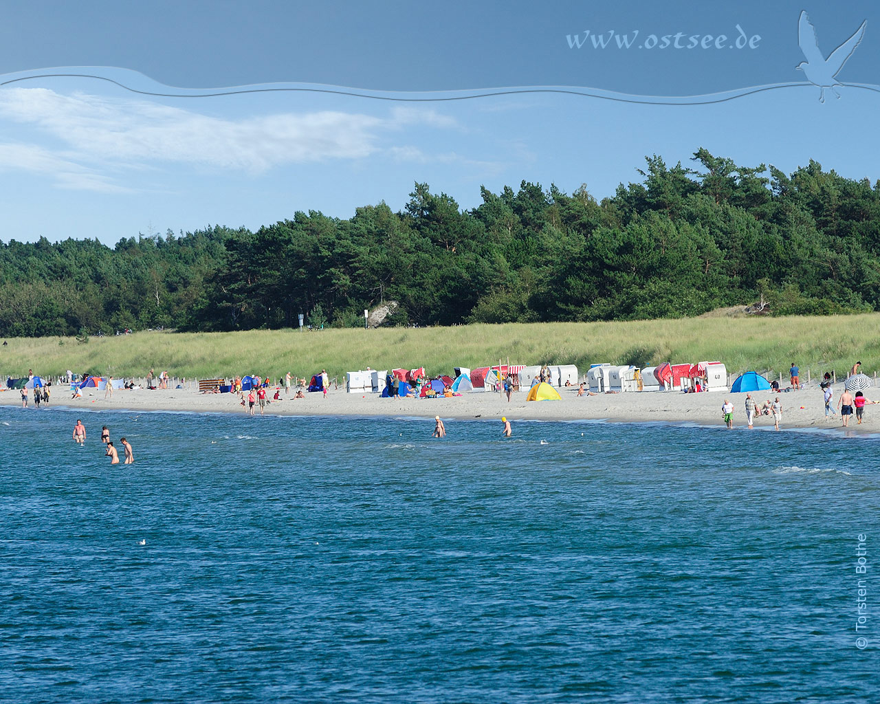 Hintergrundbild: Sommer an der Ostsee