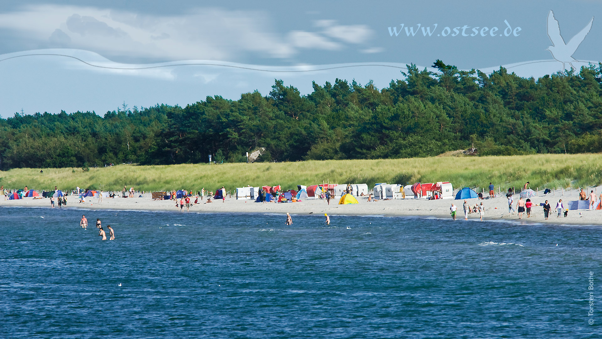 Hintergrundbild: Sommer an der Ostsee