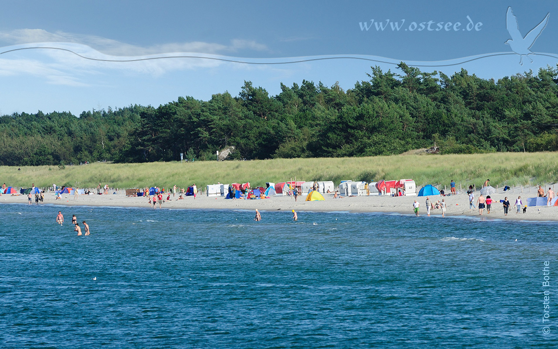 Hintergrundbild: Sommer an der Ostsee